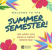 Summer Semester at the University of Guilan