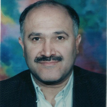 علی تقی زاده
