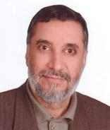 محمدرضا احمدی