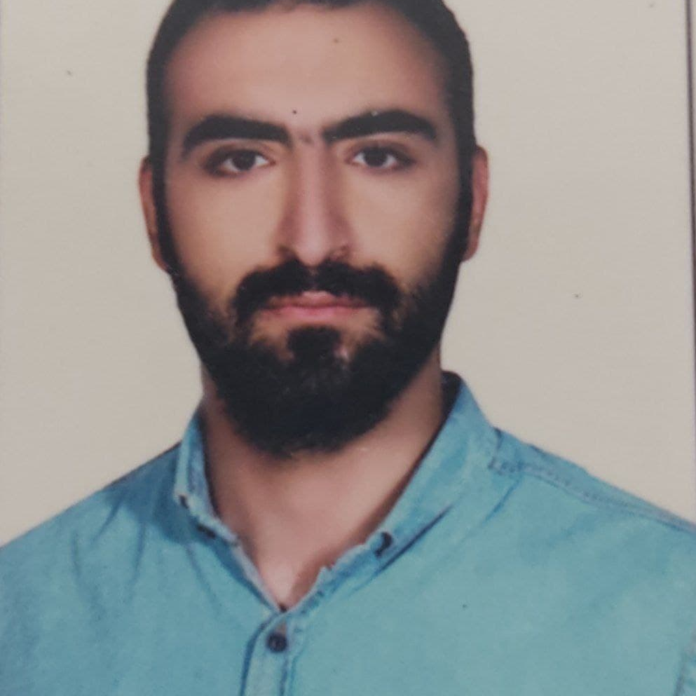 سینا سلیمی نرانی