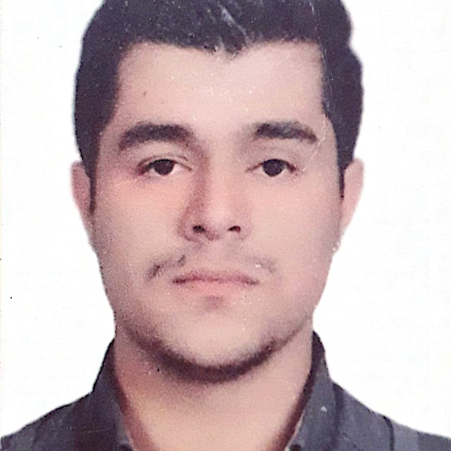 حسین امین الرعایا