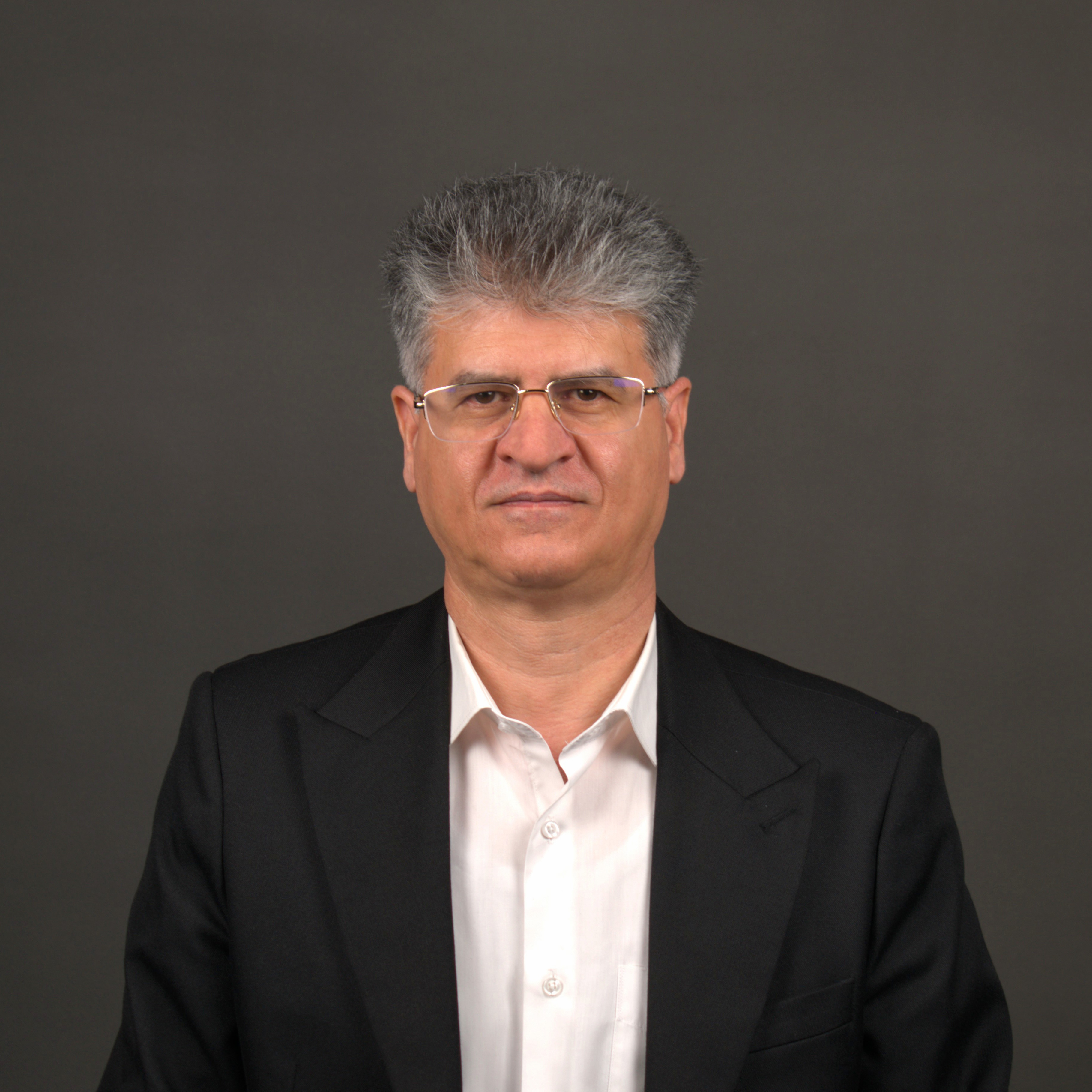 دکتر محمد هادی میرشمسی